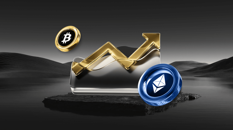 Elon Musk X crypto scam alert